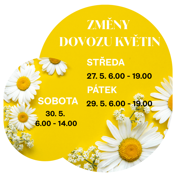 Změna dovozu květin