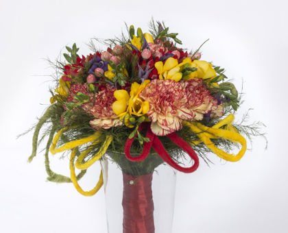 Brněnská růže - ročník 2017