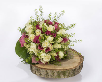 Brněnská růže - ročník 2017