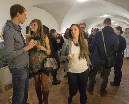 Brněnská růže - ročník 2014