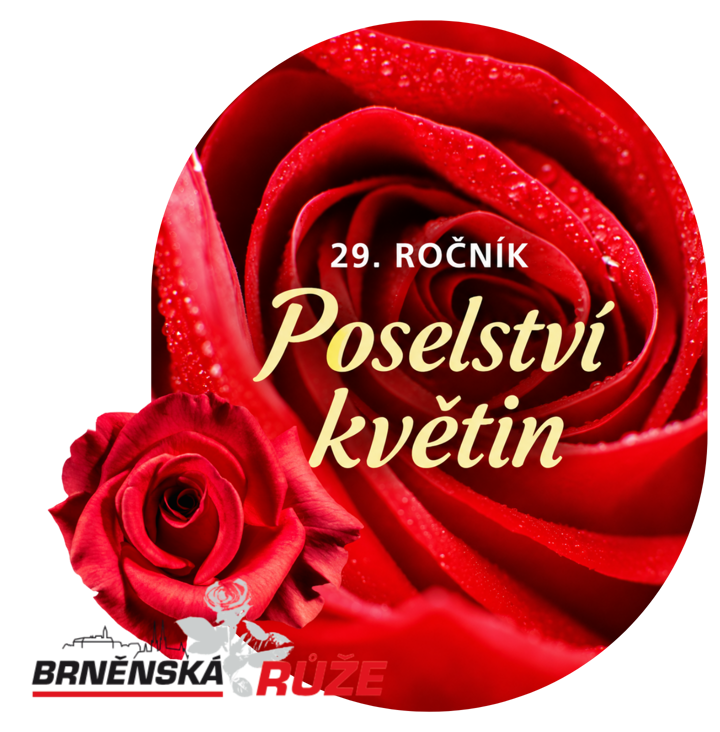 Brněnská růže 2026