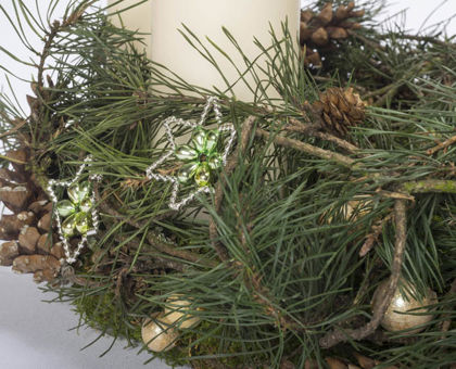 Brněnská růže - ročník 2014