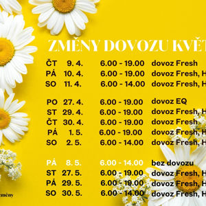 Změny v dovozu květin