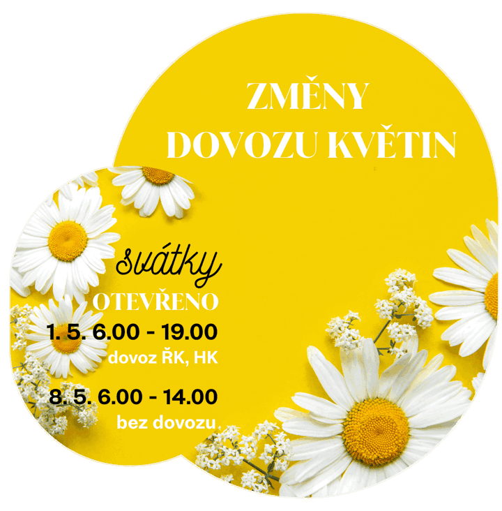 Změna dovozu květin